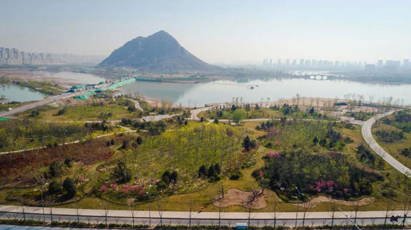 5dd7954fa720d.jpg 1.jpg